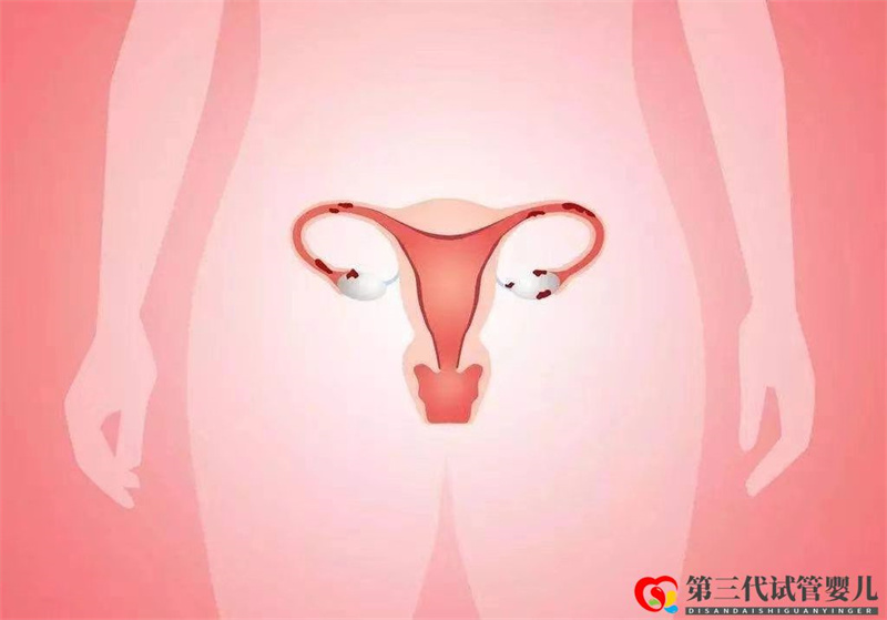 试管婴儿取卵后子宫内膜达到多少才可以移植?(图3) 试管婴儿取卵后子宫内膜达到多少才可以移植?(图3)