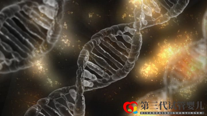 试管可以排除遗传代谢病吗(图1) 试管可以排除遗传代谢病吗(图1)