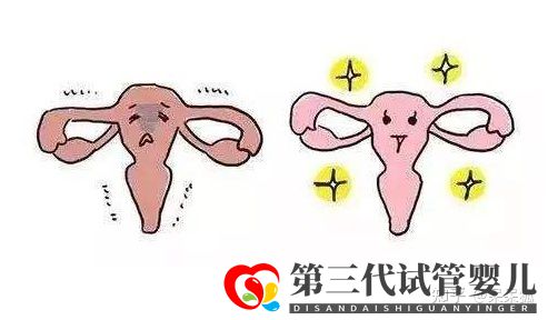 女性46岁高龄做试管婴儿成功率怎么样(图2)