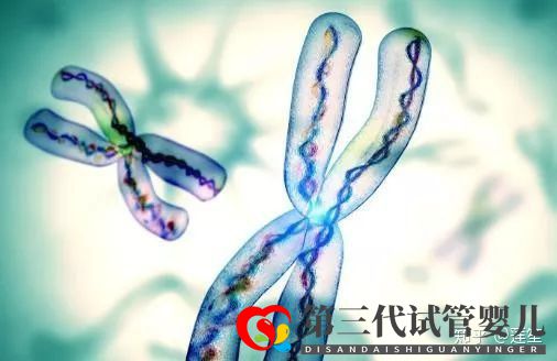 35岁以后怀孕的几率有多大怎样提高怀孕几率(图5) 35岁以后怀孕的几率有多大怎样提高怀孕几率(图5)