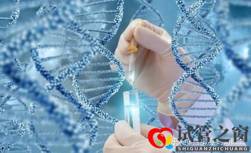 做试管婴儿的全过程做三代试管婴儿预备10万够不够(图3) 做试管婴儿的全过程做三代试管婴儿预备10万够不够(图3)