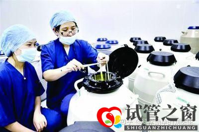 做试管婴儿的全过程做三代试管婴儿预备10万够不够(图11) 做试管婴儿的全过程做三代试管婴儿预备10万够不够(图11)