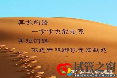 做试管婴儿的全过程做三代试管婴儿预备10万够不够(图14) 做试管婴儿的全过程做三代试管婴儿预备10万够不够(图14)
