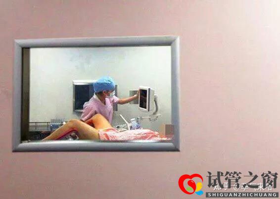 直击试管婴儿的过程(图4) 直击试管婴儿的过程(图4)