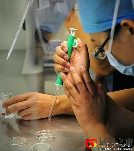 直击试管婴儿的过程(图8) 直击试管婴儿的过程(图8)