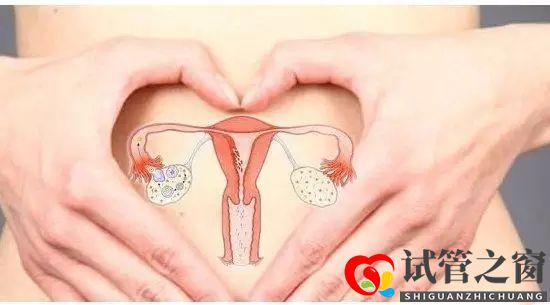 做试管婴儿卵泡少能成功吗?(图1) 做试管婴儿卵泡少能成功吗?(图1)