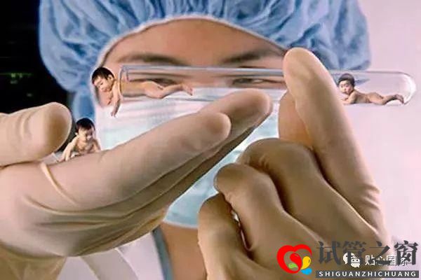 试管婴儿过程是怎样的?(图1) 试管婴儿过程是怎样的?(图1)