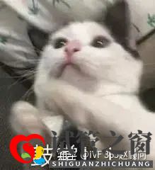1代、2代、3代试管,有什么区别(图9) 1代、2代、3代试管,有什么区别(图9)