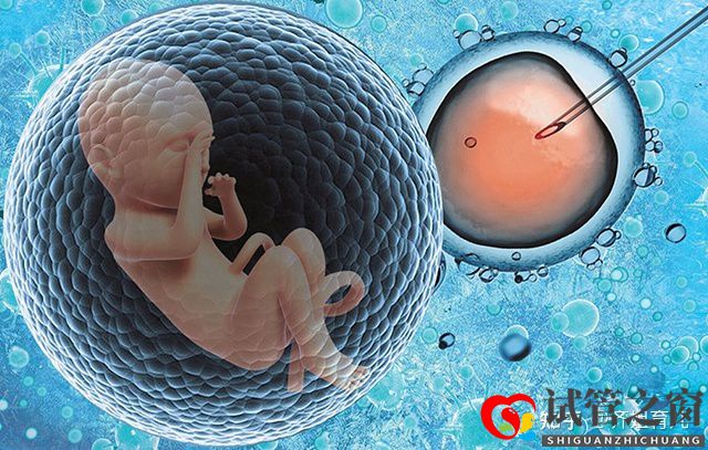 6年试管经历告诫女性别轻易做试管婴儿(图1) 6年试管经历告诫女性别轻易做试管婴儿(图1)