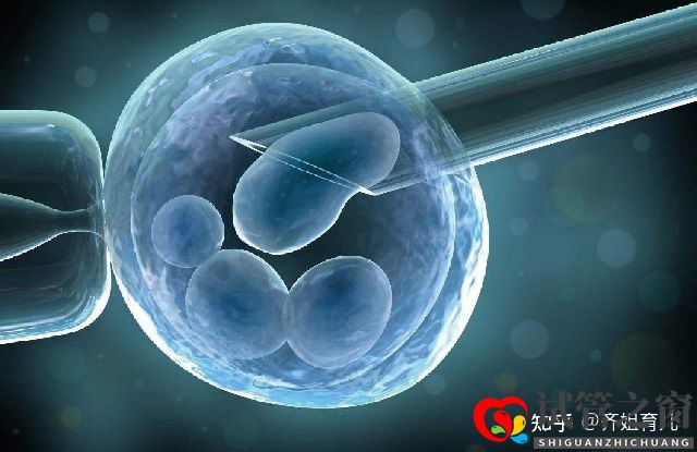 6年试管经历告诫女性别轻易做试管婴儿(图5) 6年试管经历告诫女性别轻易做试管婴儿(图5)