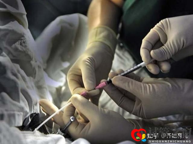 6年试管经历告诫女性别轻易做试管婴儿(图12) 6年试管经历告诫女性别轻易做试管婴儿(图12)
