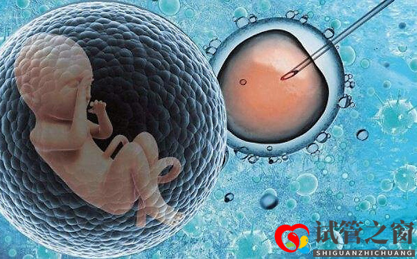 203040岁的女性做试管,成功率有多少?(图1) 203040岁的女性做试管,成功率有多少?(图1)