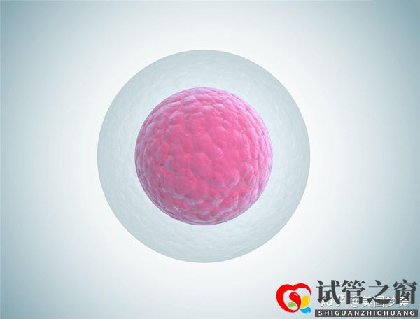 35岁女性做美国试管婴儿成功率评估的三个关键点(图4) 35岁女性做美国试管婴儿成功率评估的三个关键点(图4)