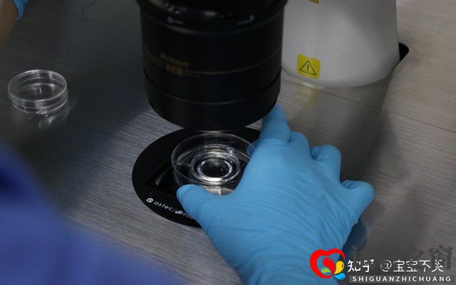 柳州三代试管婴儿医院费用贵吗(图2) 柳州三代试管婴儿医院费用贵吗(图2)
