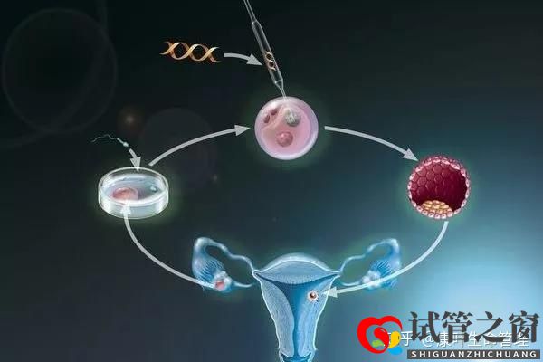 你要的试管婴儿流程时间表在这里!(图4) 你要的试管婴儿流程时间表在这里!(图4)