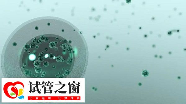 二代试管有胚胎缺陷风险