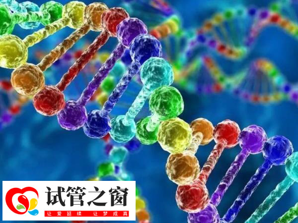 PGT-A对胚胎进行23对染色体非整倍体检测
