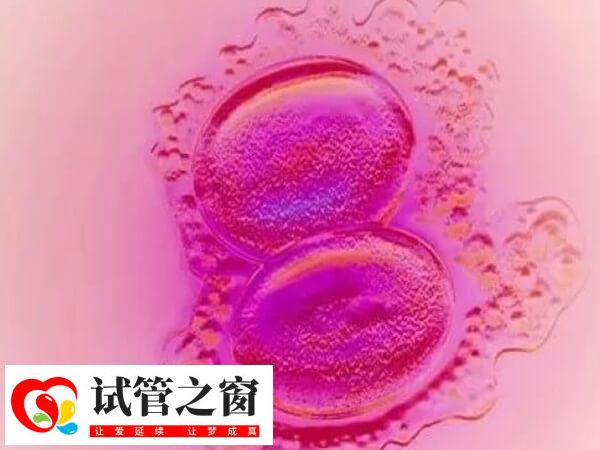 囊胚4bb质量比较好