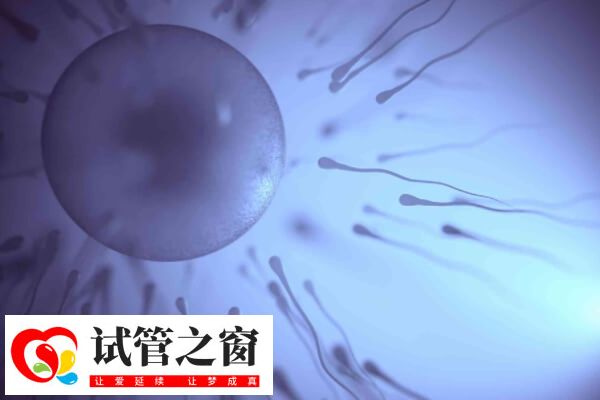 4bc囊胚解冻后通常仍然是4bc囊胚
