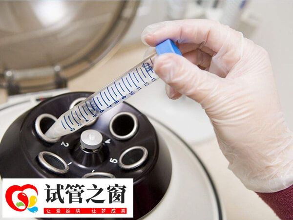 试管移植后的着床时间并不固定
