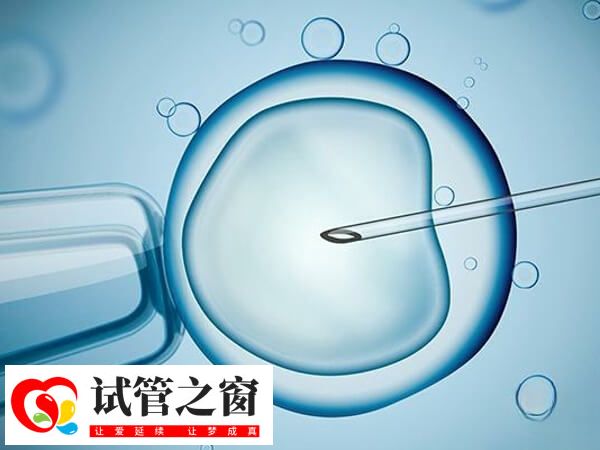 胚胎培养时间因人而异