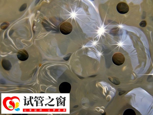 供卵在国内不受法律保护