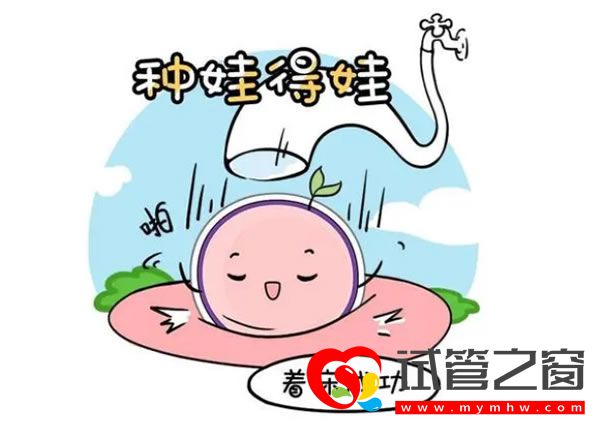试管之窗 试管之窗