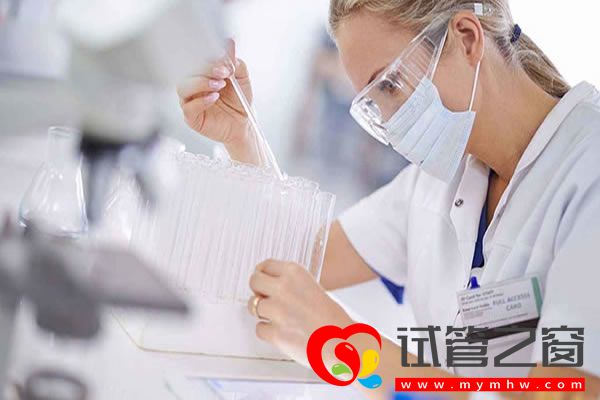 试管之窗 试管之窗