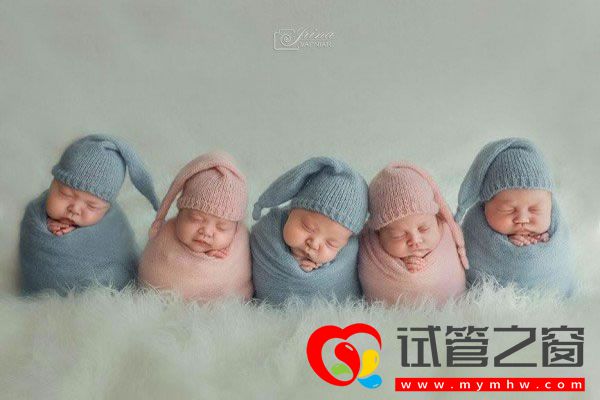 试管之窗 试管之窗